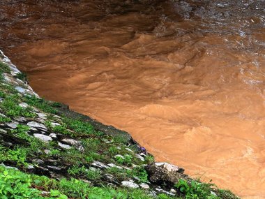 Malezya 'da yağmur sonrası nehir manzarası, kayalar ve bitki örtüsü arasında akan temiz nehirler. Su yüzeyi, tropikal yağmur ormanlarının taze atmosferini ve ekolojik güzelliğini yansıtan nemli ve doğal bir parıltıyı yansıtır..