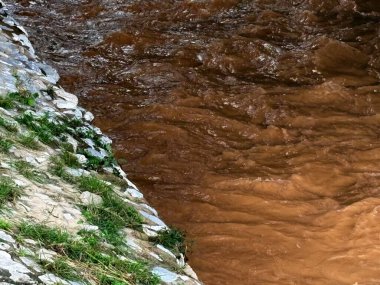 Malezya 'da yağmur sonrası nehir manzarası, kayalar ve bitki örtüsü arasında akan temiz nehirler. Su yüzeyi, tropikal yağmur ormanlarının taze atmosferini ve ekolojik güzelliğini yansıtan nemli ve doğal bir parıltıyı yansıtır..