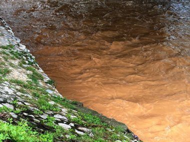 Malezya 'da yağmur sonrası nehir manzarası, kayalar ve bitki örtüsü arasında akan temiz nehirler. Su yüzeyi, tropikal yağmur ormanlarının taze atmosferini ve ekolojik güzelliğini yansıtan nemli ve doğal bir parıltıyı yansıtır..