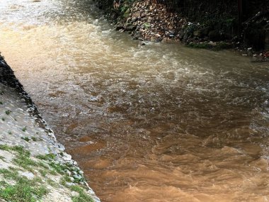 Malezya 'da yağmur sonrası nehir manzarası, kayalar ve bitki örtüsü arasında akan temiz nehirler. Su yüzeyi, tropikal yağmur ormanlarının taze atmosferini ve ekolojik güzelliğini yansıtan nemli ve doğal bir parıltıyı yansıtır..