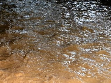 Malezya 'da yağmur sonrası nehir manzarası, kayalar ve bitki örtüsü arasında akan temiz nehirler. Su yüzeyi, tropikal yağmur ormanlarının taze atmosferini ve ekolojik güzelliğini yansıtan nemli ve doğal bir parıltıyı yansıtır..