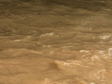 Malezya 'da yağmur sonrası nehir manzarası, kayalar ve bitki örtüsü arasında akan temiz nehirler. Su yüzeyi, tropikal yağmur ormanlarının taze atmosferini ve ekolojik güzelliğini yansıtan nemli ve doğal bir parıltıyı yansıtır..