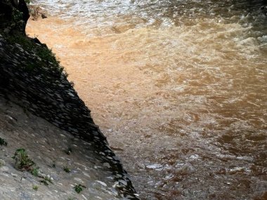 Malezya 'da yağmur sonrası nehir manzarası, kayalar ve bitki örtüsü arasında akan temiz nehirler. Su yüzeyi, tropikal yağmur ormanlarının taze atmosferini ve ekolojik güzelliğini yansıtan nemli ve doğal bir parıltıyı yansıtır..