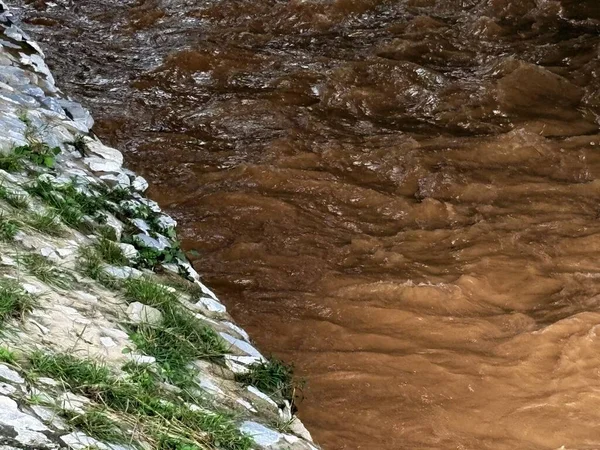 Malezya 'da yağmur sonrası nehir manzarası, kayalar ve bitki örtüsü arasında akan temiz nehirler. Su yüzeyi, tropikal yağmur ormanlarının taze atmosferini ve ekolojik güzelliğini yansıtan nemli ve doğal bir parıltıyı yansıtır..