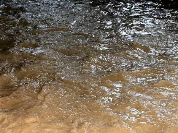 Malezya 'da yağmur sonrası nehir manzarası, kayalar ve bitki örtüsü arasında akan temiz nehirler. Su yüzeyi, tropikal yağmur ormanlarının taze atmosferini ve ekolojik güzelliğini yansıtan nemli ve doğal bir parıltıyı yansıtır..