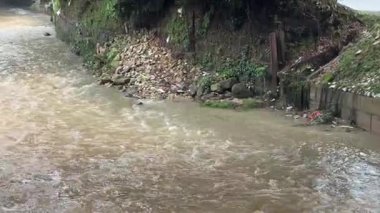 Malezya 'da, temiz suyun kayalar ve yemyeşil bitki örtüsünden aktığı sakin bir yağmur sonrası akış sahnesi..