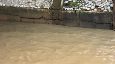 Malezya 'da, temiz suyun kayalar ve yemyeşil bitki örtüsünden aktığı sakin bir yağmur sonrası akış sahnesi..