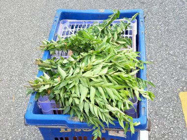 Malezya sabah pazarı veya Pasar Pagi, yerel kültürün önemli bir parçasıdır..