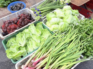 Malezya sabah pazarı veya Pasar Pagi, yerel kültürün önemli bir parçasıdır..