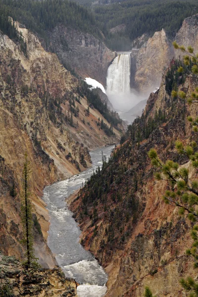 Yellowstone κάτω θέα στους καταρράκτες στο εθνικό πάρκο Yellowstone — Φωτογραφία Αρχείου