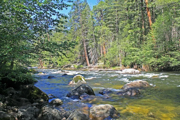 Ορεινό ποτάμι σε εθνικό πάρκο Yosemite — Φωτογραφία Αρχείου