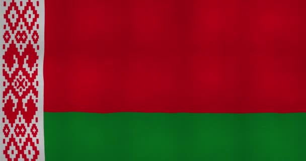 風の中で開発ベラルーシの旗のアニメーション — ストック動画
