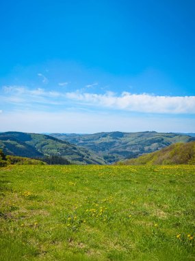 Bereketli yeşil çayırı ve parlak mavi gökyüzü olan huzurlu bir dağ vadisinin dikey fotoğrafı. Doğanın güzelliğini ve sükunetini gösteren seyahat, doğa ve çevre kavramları için mükemmel..