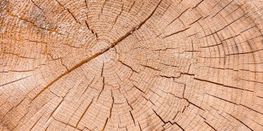 Yatay çatlak ahşap halkalar arka plan dokusu
