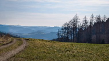 Yeşil tarlalardan ve tepelerden geçen kırsal yol.