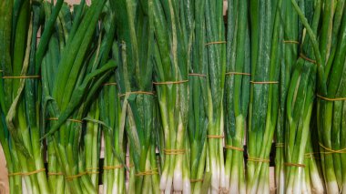Canlı yeşil yaprakları ve beyaz sapları olan taze, yeşil soğanlardan oluşan yakın plan bir fotoğraf. Organize kavgalar besinle ilgili malzemeler, tarım temaları ve sağlıklı yaşam tarzı görselleri için doğal bir model oluşturur..
