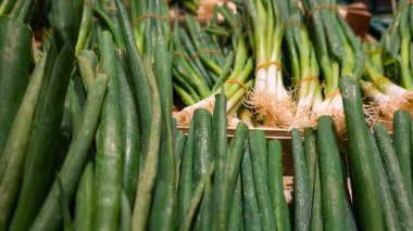 Taze soğanın dokusunu ve şeklini vurgulayan bir yan görüntü. Kökler ve kökler, tarımsal görseller, gıda temaları ve sağlıklı beslenme içeriği için ideal doğal ve organik bir düzenleme oluşturur..