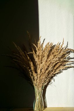 A dried grass bouquet stands in a vase against a wall split by light and shadow. The minimalist scene highlights texture and natural beauty. Ideal for interior, dcor, and artistic themes.