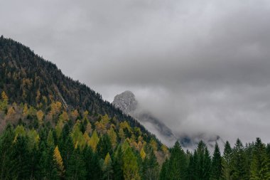 Renkli bir sonbahar ormanının üzerinde yoğun sisin içinden dramatik bir dağ zirvesi belirir. Alçak bulutlar ve sis karamsar ve atmosferik dağlık bir alan yaratır..