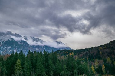 Şiddetli bulutların altında, sonbahar renklerinde bir ormanla dramatik bir dağ manzarası. Sis ve sis, derinlik ve doğal güzelliklerle dolu karamsar ve atmosferik bir dağ manzarası yaratır..
