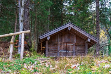 Sisli bir sonbahar ormanında ağaçların arasında küçük bir ahşap kulübe duruyor. Yumuşak sis ve ılık tonlar huzurlu ve dengesiz kırsal bir atmosfer yaratır..