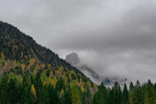 Renkli bir sonbahar ormanının üzerinde yoğun sisin içinden dramatik bir dağ zirvesi belirir. Alçak bulutlar ve sis karamsar ve atmosferik dağlık bir alan yaratır..