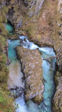 Berrak dağ nehri, doğal manzarayla çevrili kayalık bir dağlık arazide akar. Videoda sürekli su hareketleri, taşlar ve el değmemiş bir açık hava ortamı var. Doğa, seyahat ya da çevresel altyapı için ideal.
