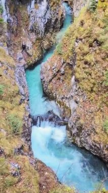 Açık nehir suyu, doğal ortamdaki büyük bir kayanın üzerinden sürekli akar. Video su yüzeyindeki doğal hareketi, dokuyu ve ışığı gösteriyor. Doğa geçmişi ya da çevre görüntüleri kadar uygundur..
