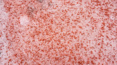 Tarım için beyaz ve kırmızı gübrelerin karıştırılması