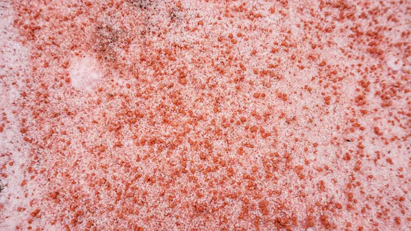 Tarım için beyaz ve kırmızı gübrelerin karıştırılması