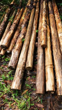 ormana odun parçaları