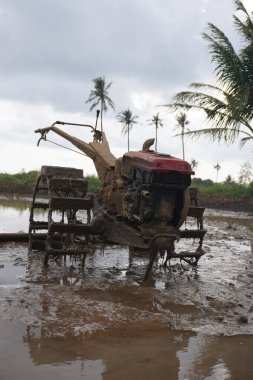 Pirinç tarlasında eski traktör