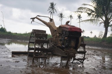 Pirinç tarlasında eski traktör