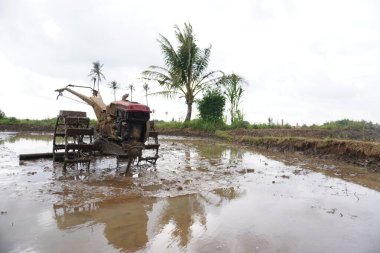 Pirinç tarlasında eski traktör