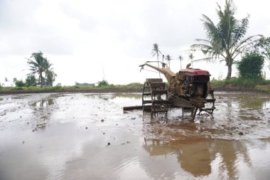 Pirinç tarlasında eski traktör