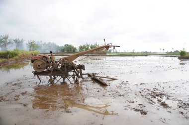 Pirinç tarlasında eski traktör