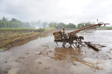 Pirinç tarlasında eski traktör