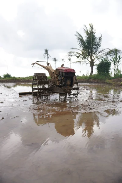 Pirinç tarlasında eski traktör