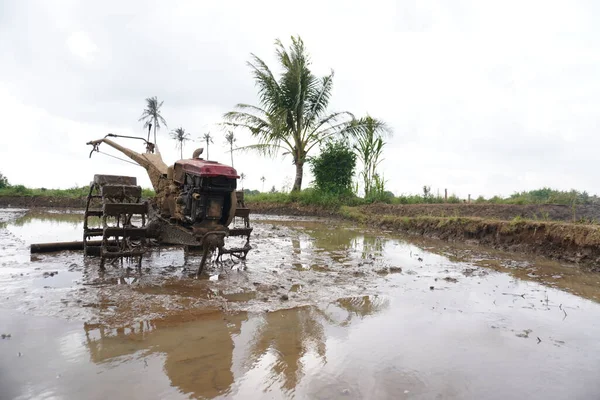 Pirinç tarlasında eski traktör