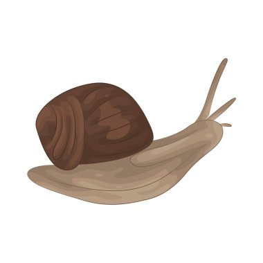 A snail is a small, slow-moving creature with a spiral shell, known for its methodical pace and its adaptability to various habitats.