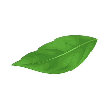 A leaf is the green, flat part of a plant that captures sunlight for photosynthesis, playing a vital role in sustaining life.