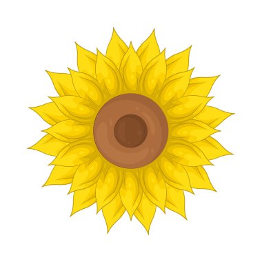 A sunflower is a tall, vibrant plant with a large yellow bloom that follows the suns path across the sky throughout the day.