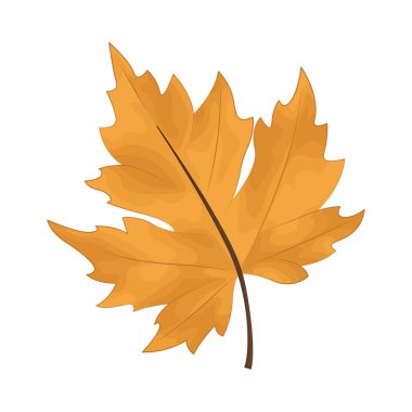 An autumn leaf is a deciduous leaf that changes color and falls as temperatures drop, symbolizing the transition from summer to winter