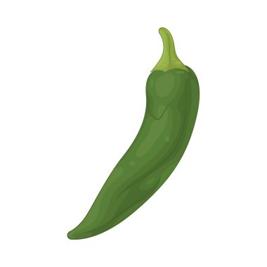 Green chili is a spicy vegetable used to add heat and flavor to salsas, sauces, and curries.