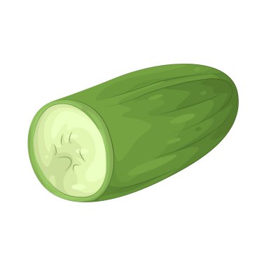 Cucumber is a crisp, refreshing vegetable with high water content, often used in salads and pickles.
