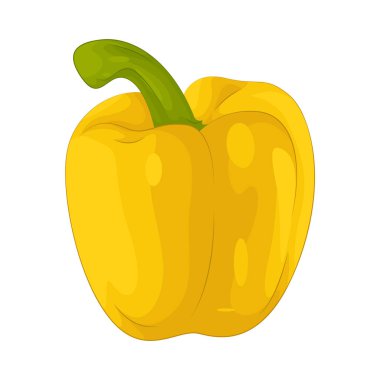 Bell pepper is a sweet and crunchy vegetable that comes in a variety of colors, often used in salads and stir-fries.