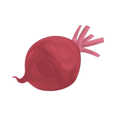 Beetroot is a deep red root vegetable with an earthy flavor, used in salads, soups, and juices.