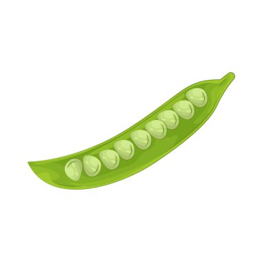 Green beans are slender, crunchy pods that offer a fresh, slightly sweet flavor when steamed, sauted, or stir-fried.