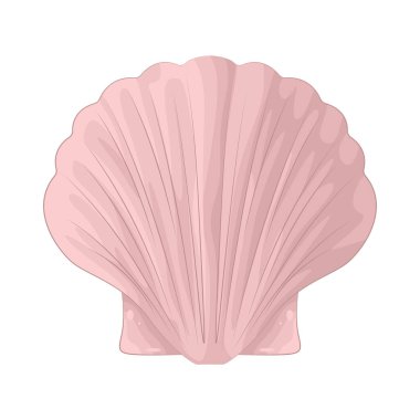 Deniz kabuğu, dalgalar ve zamanla şekillenen okyanus hatıralarıdır. Denizin ritmini ve dinginliğini hatırlatır..