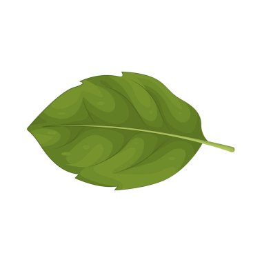 Yaprak, güneş ışığını yakalayan ve dünyaya oksijen soluyan yeşil bir yaşam biçimidir..